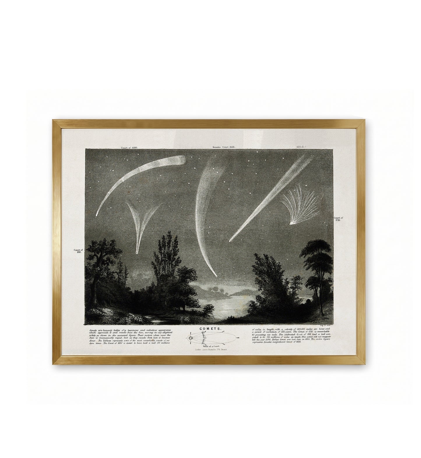 Comets / James Reynolds