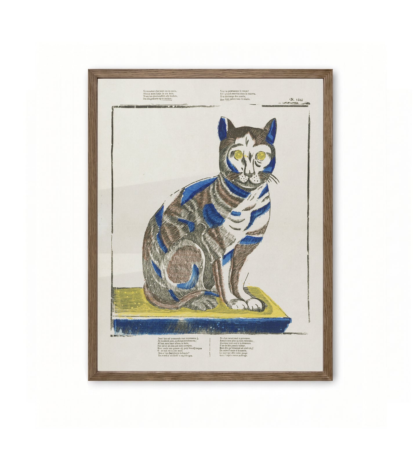 Cat (Nº 149) / Anonymous