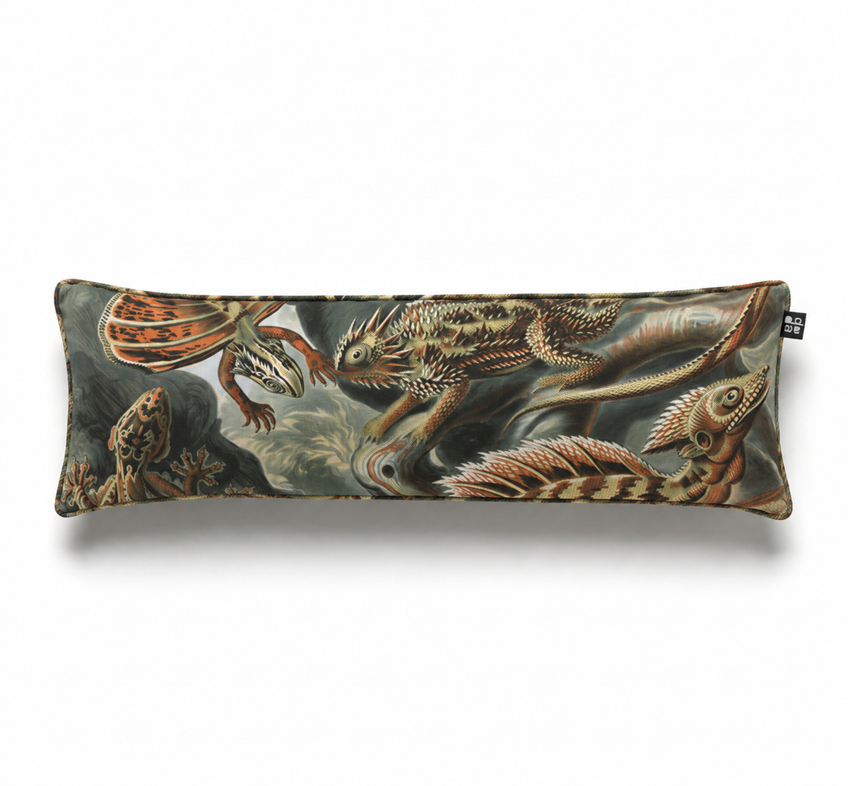 Batrachia / Ernst Haeckel – Cojín 120 x 35