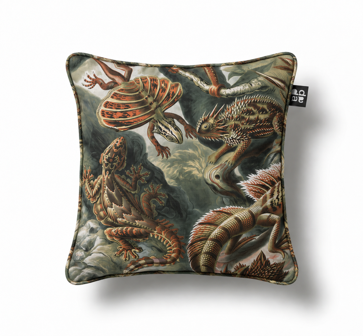 Batrachia / Ernst Haeckel – Cojín 45 x 45