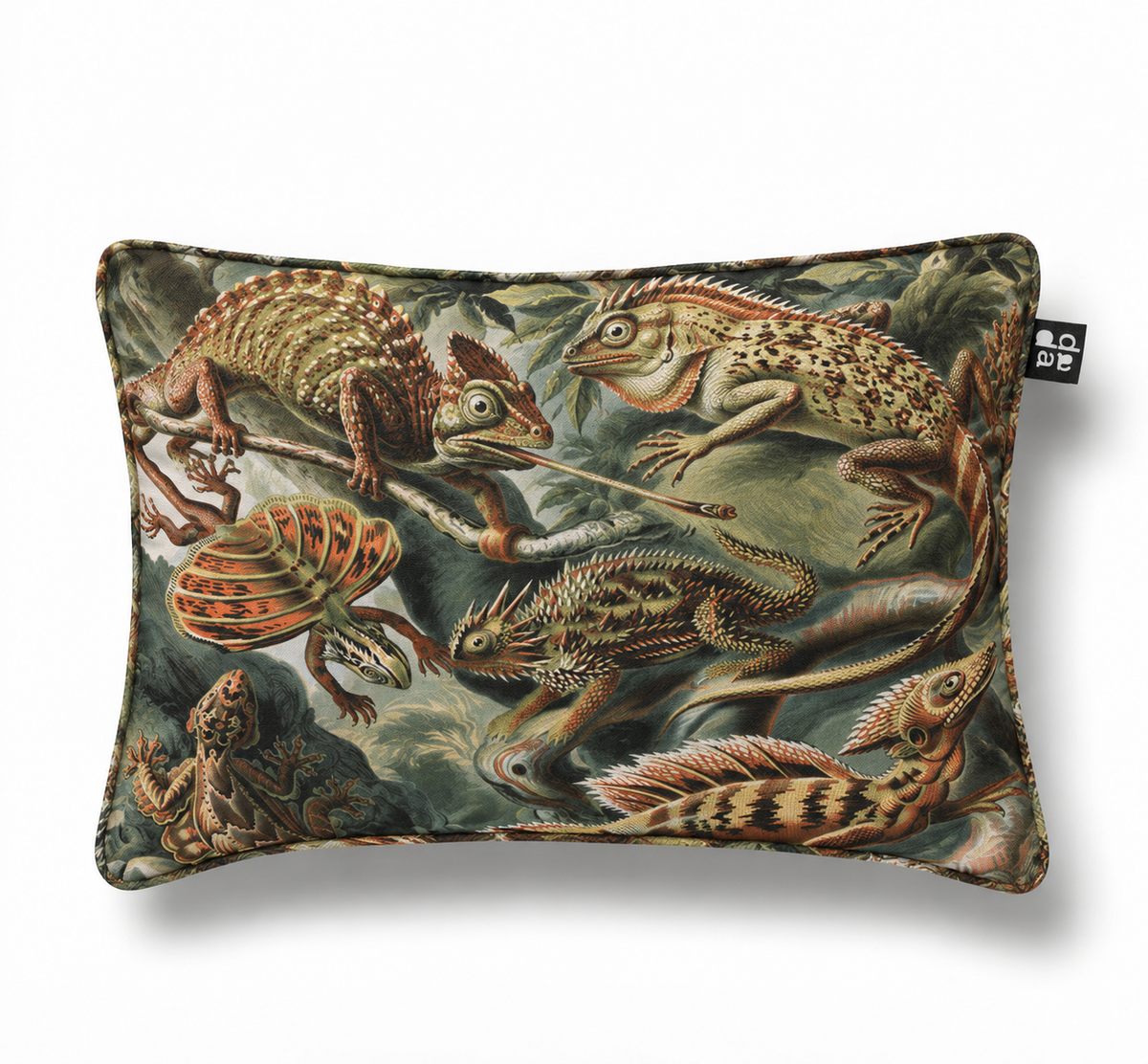 Batrachia / Ernst Haeckel – Cojín 60 x 40