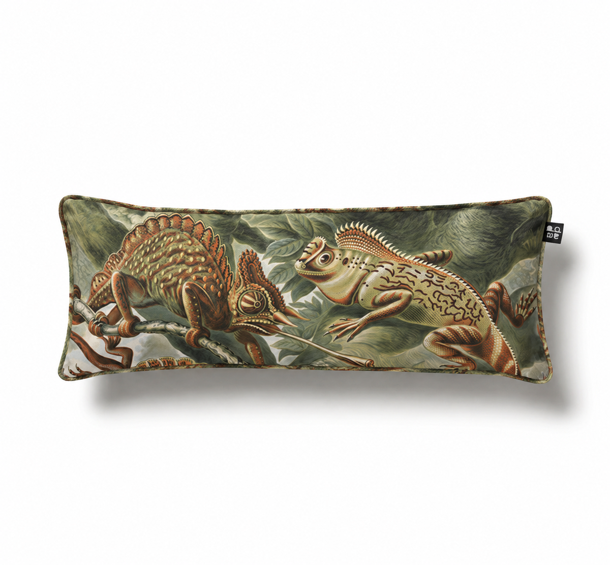 Batrachia / Ernst Haeckel – Cojín 90 x 35