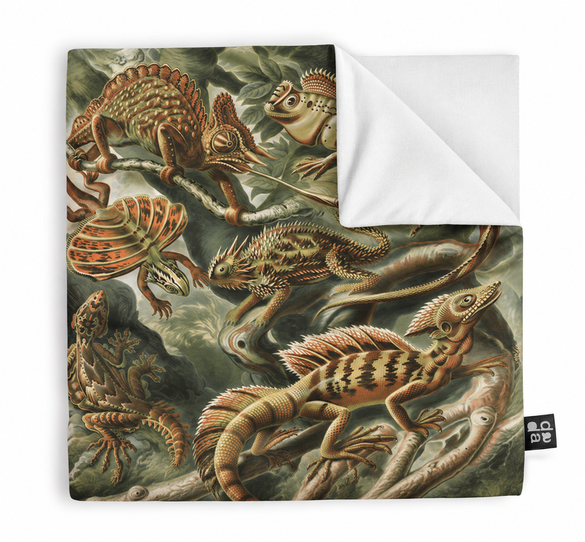 Batrachia / Ernst Haeckel – Manta / Piecera