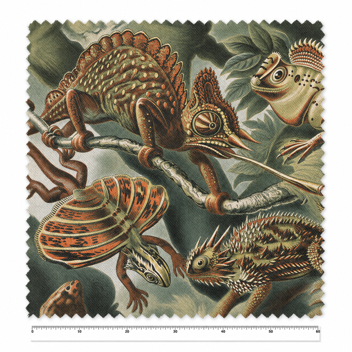 Batrachia / Ernst Haeckel – Tela x metro