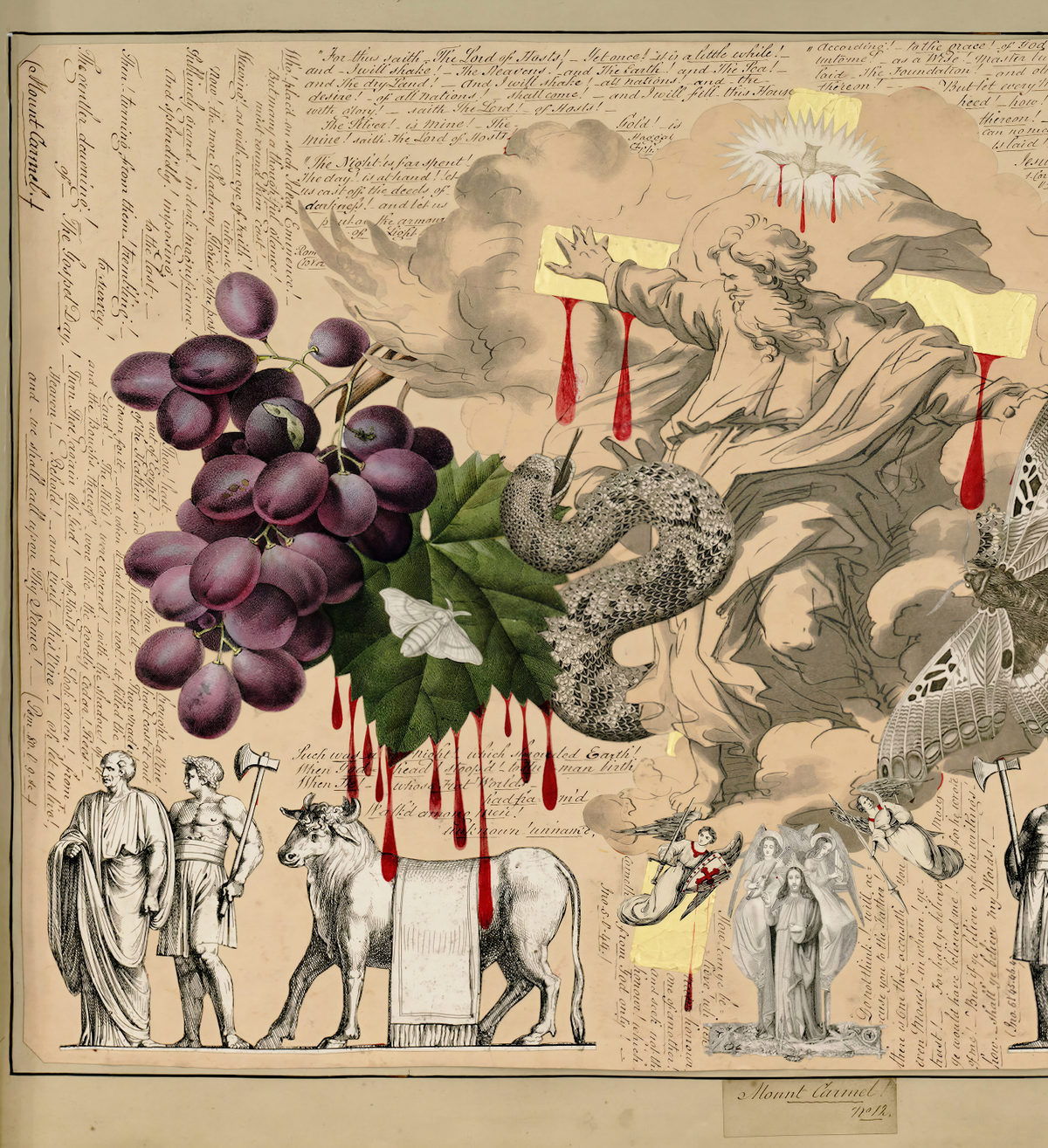 Victorian Blood Book / John Bingley Garland