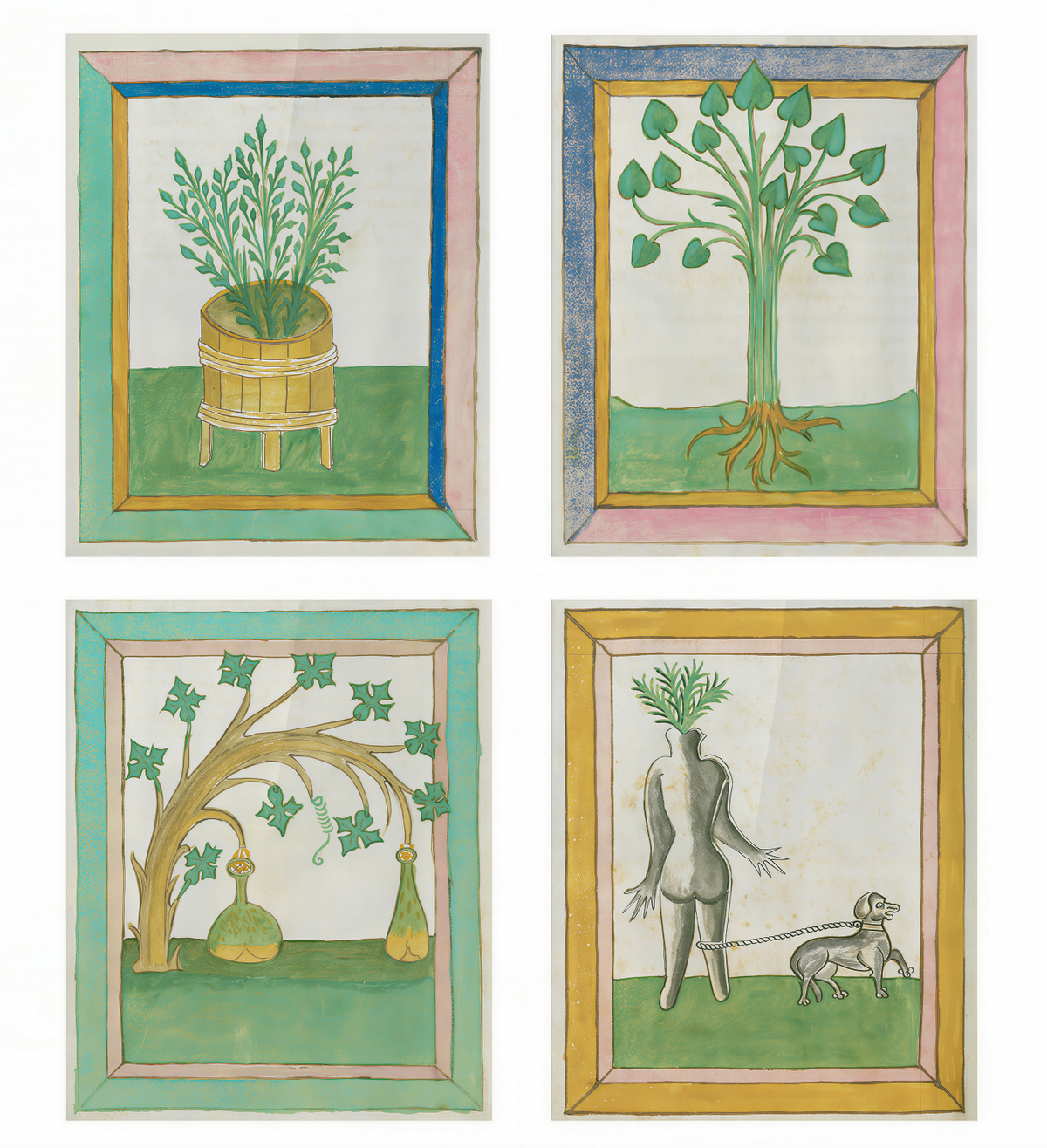 Herbal Book / Johannes Hartlieb