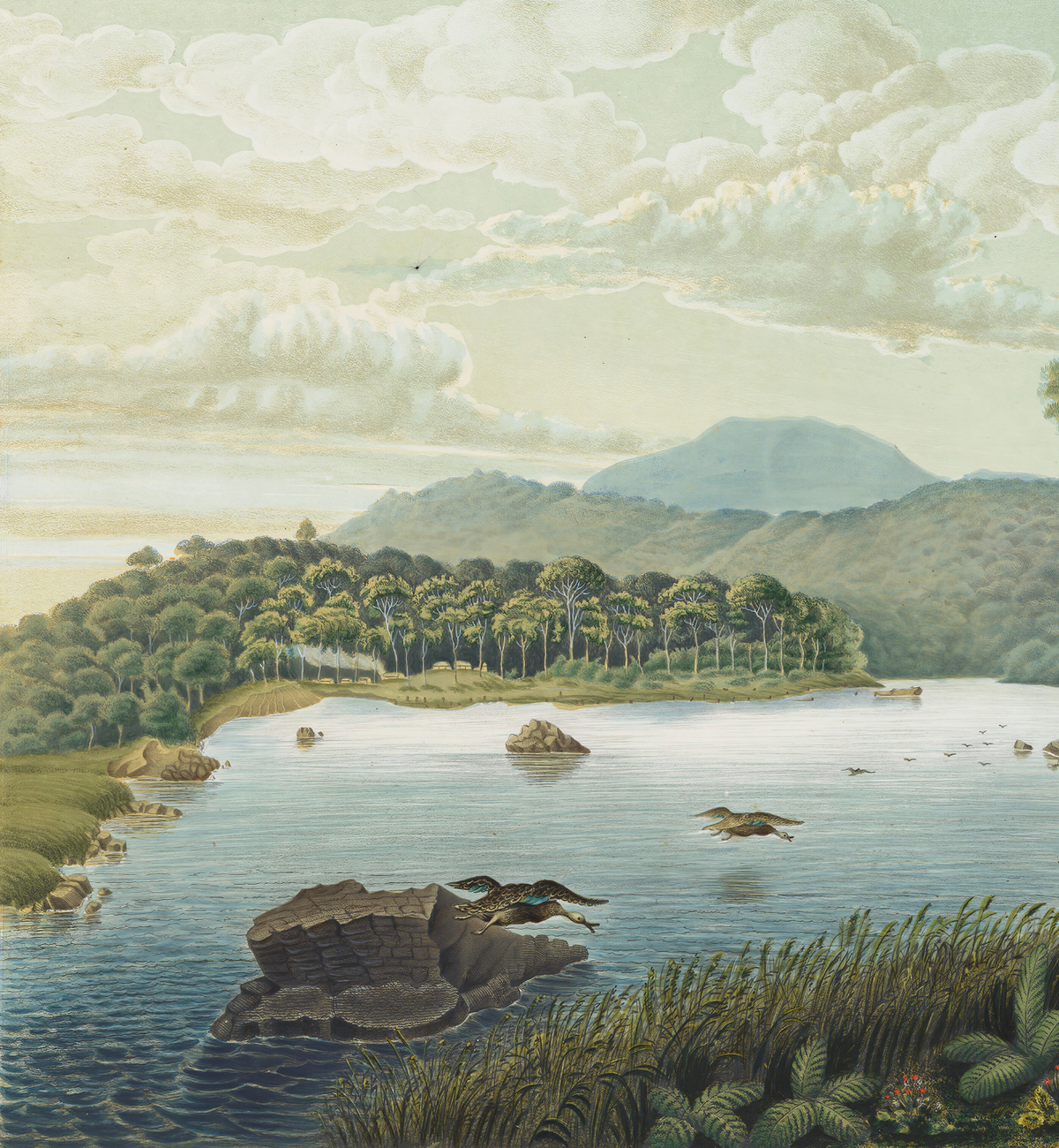 View of Lake Patenggang in Java / Franz Wilhelm Junghuhn