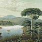 View of Lake Patenggang in Java / Franz Wilhelm Junghuhn