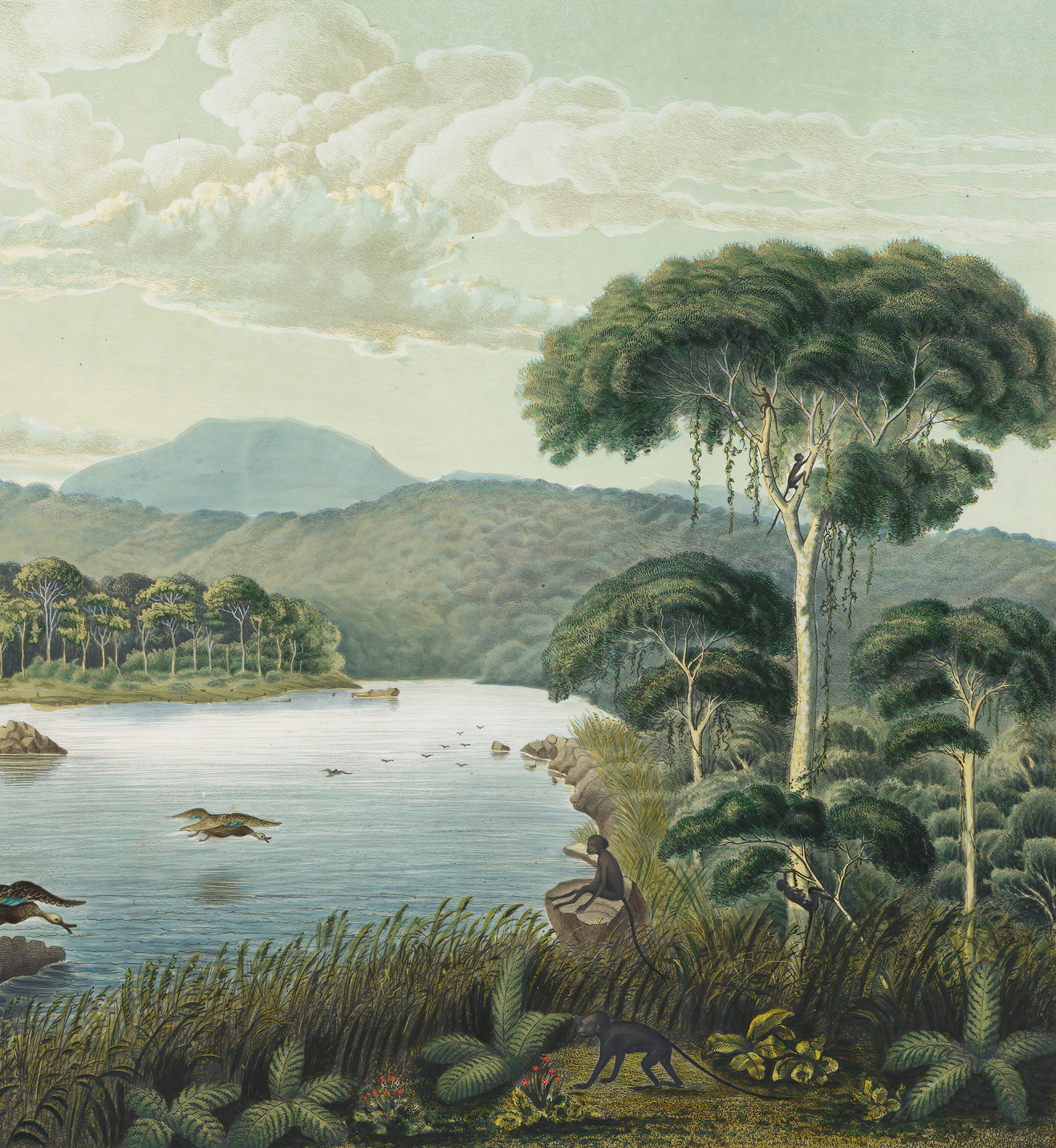 View of Lake Patenggang in Java / Franz Wilhelm Junghuhn