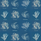 Photographs of British Algae / Anna Atkins