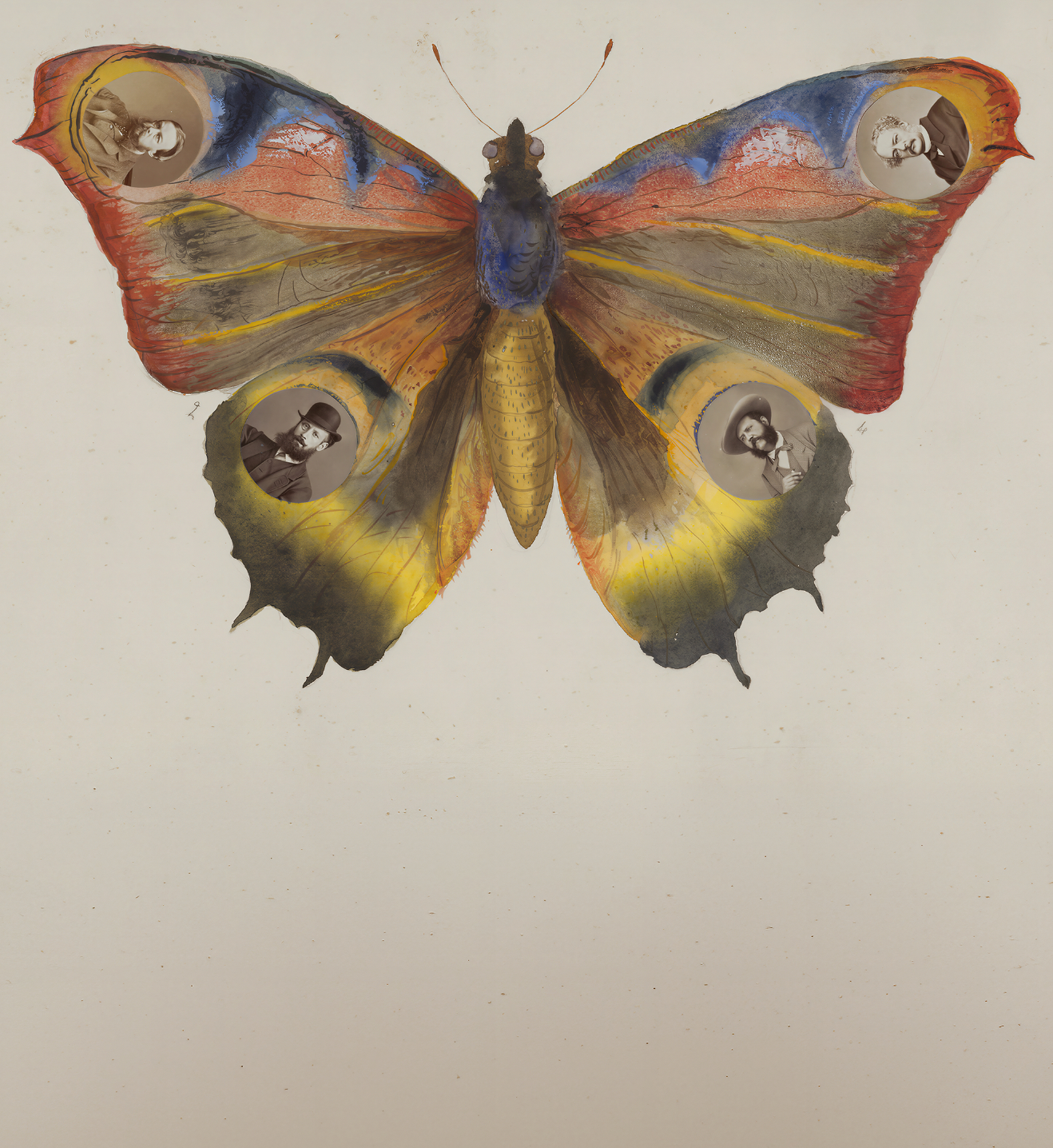 Butterfly Collage / Madame B