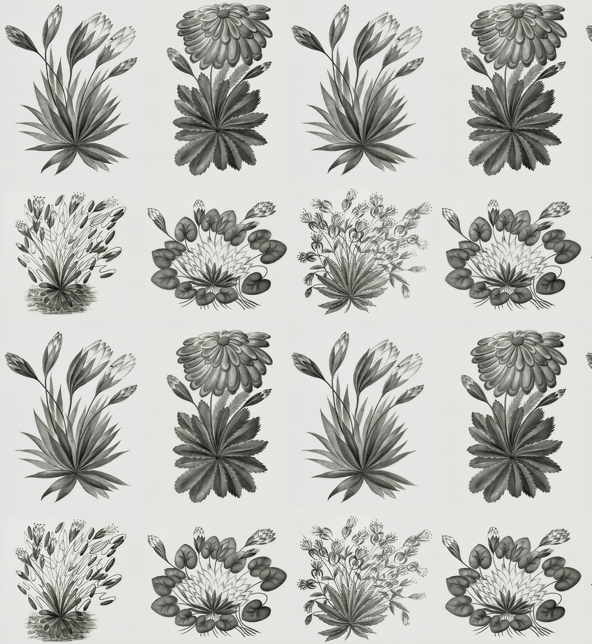 Herbarium / Sara Weiss
