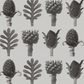 Botanical Archive / Karl Blossfeldt