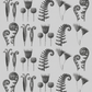 Botanical Rhythm / Karl Blossfeldt