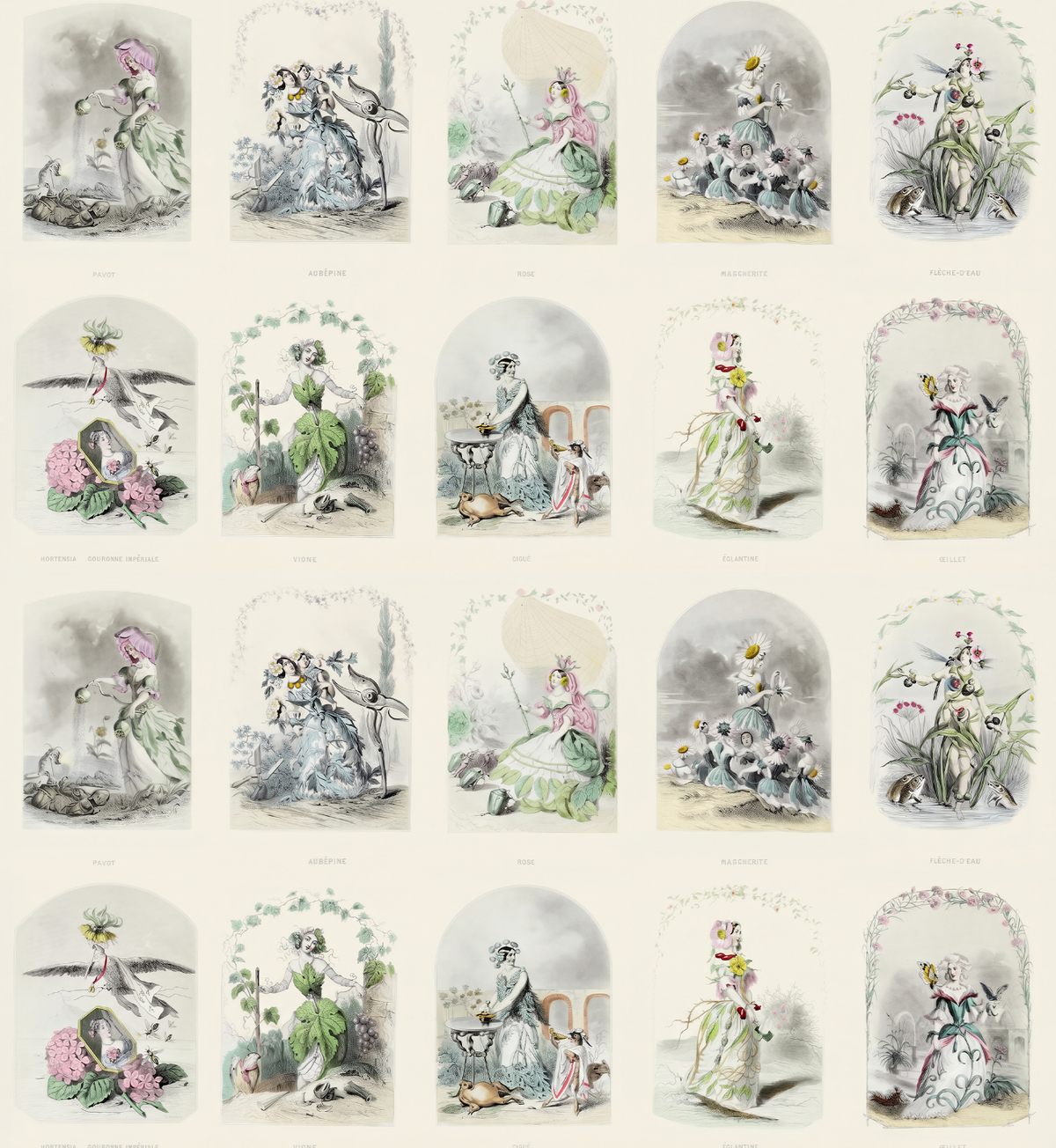 Les Fleurs Animées / J.J. Grandville