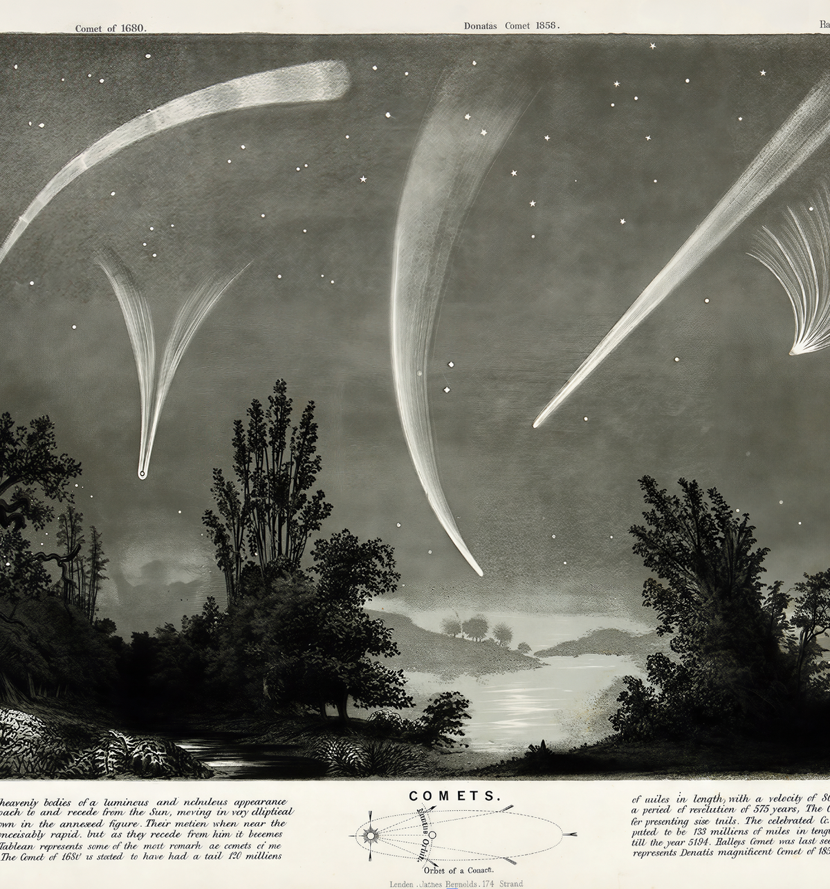 Comets / James Reynolds