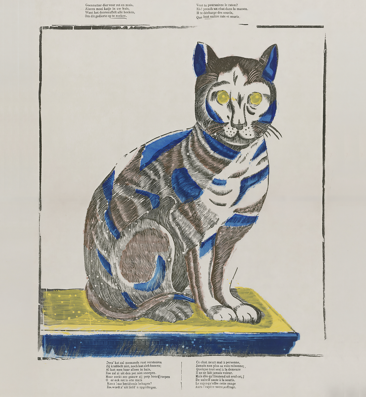 Cat (Nº 149) / Anonymous