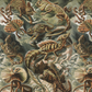 Batrachia / Ernst Haeckel