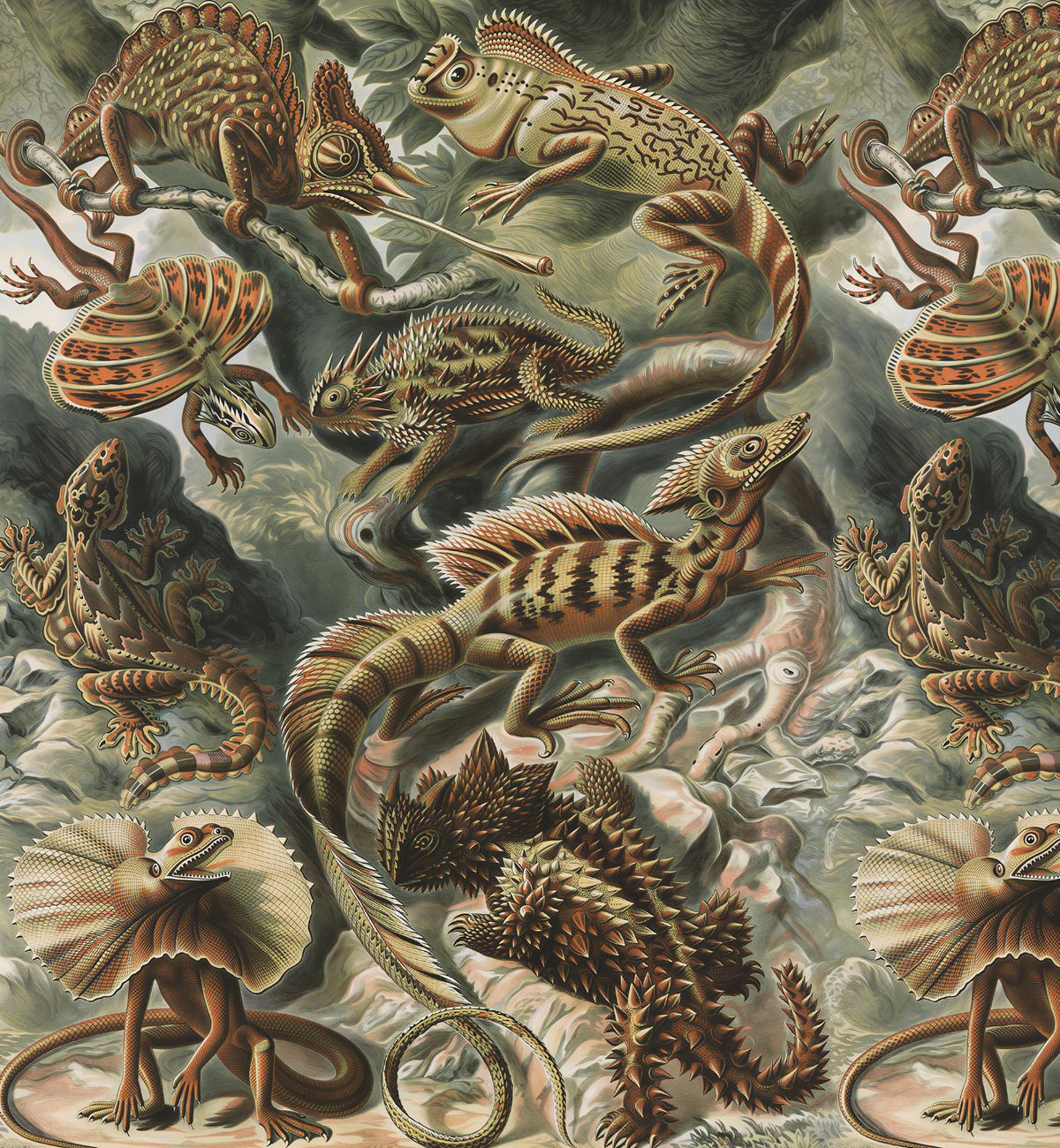 Batrachia / Ernst Haeckel