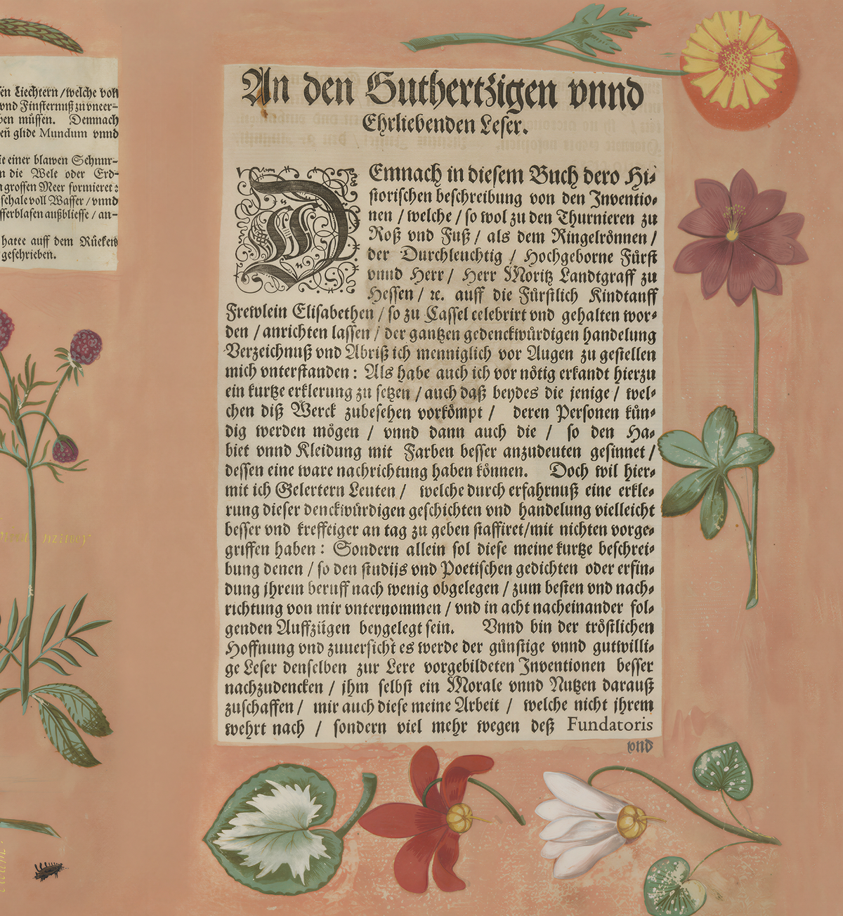 Hortus III / Wilhelm Dilich