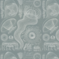 Diatomea / Ernst Haeckel