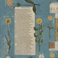 Hortus II / Wilhelm Dilich