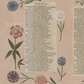 Hortus I / Wilhelm Dilich