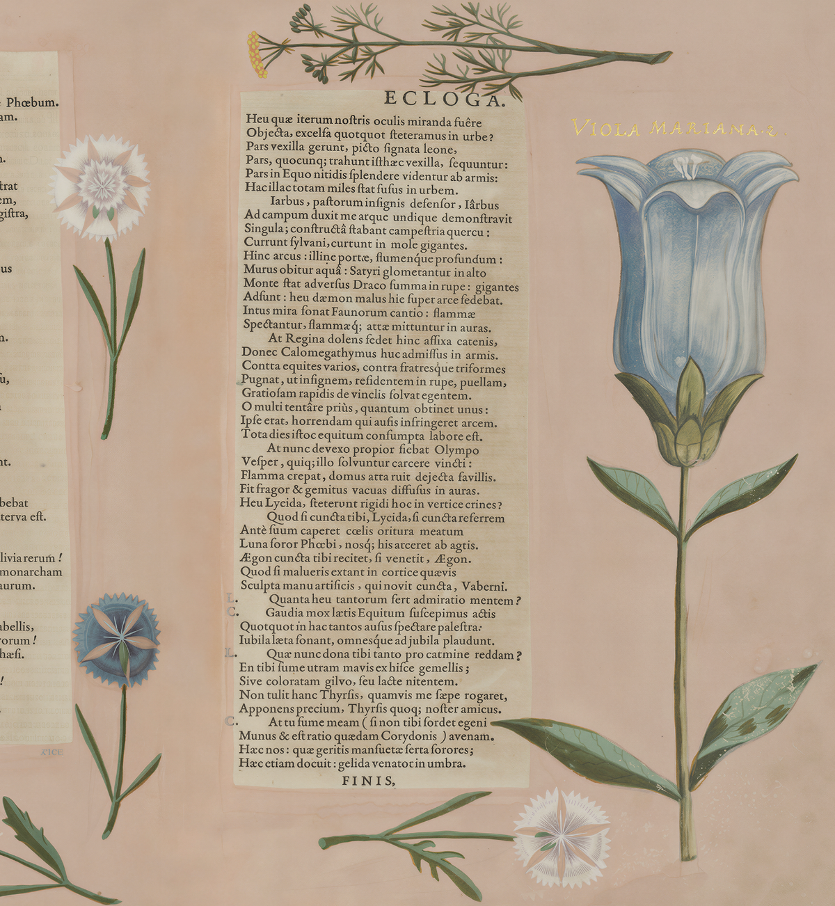 Hortus I / Wilhelm Dilich