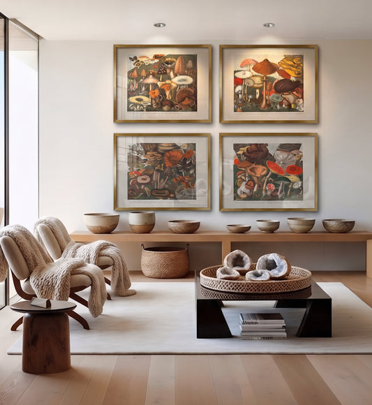 Champignons Suspect / A. Cornillon