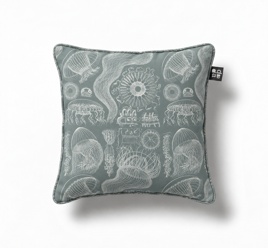 Diatomea / Ernst Haeckel – Cojín 45 x 45