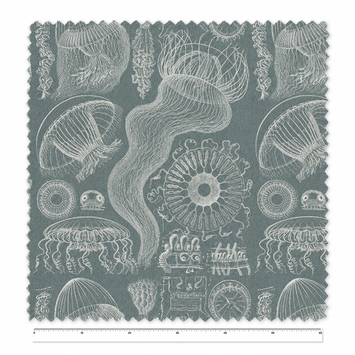 Diatomea / Ernst Haeckel – Tela x metro
