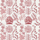 Florideae / Ernst Haeckel