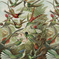 Trochilidae / Ernst Haeckel