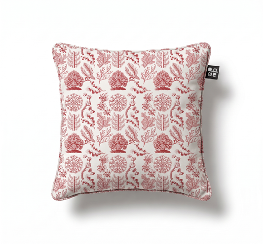 Florideae / Ernst Haeckel