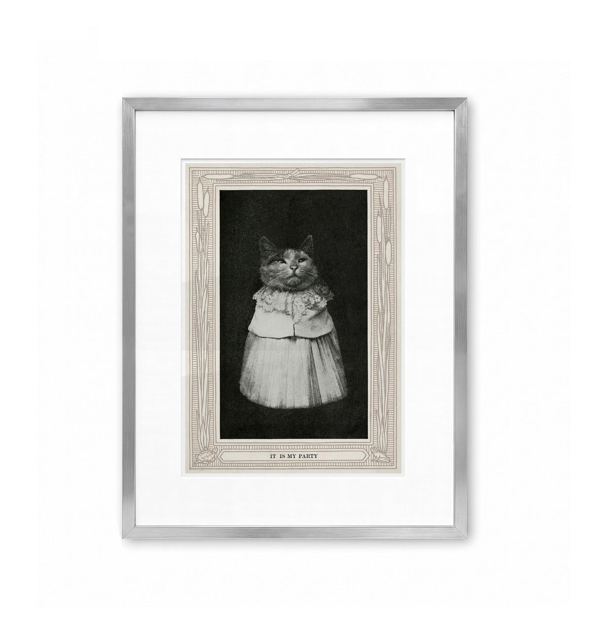 It Is My Party / Eulalie Osgood Grover