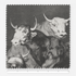 Folly of Little Bulls / Francisco de Goya – Tela x metro