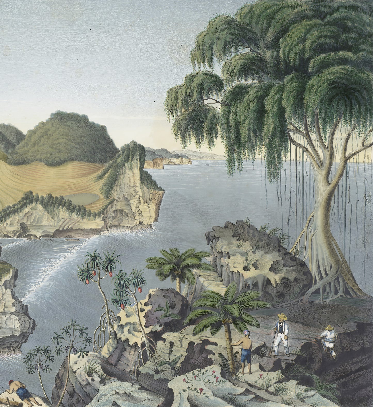 Zuidkust van Java, ten oosten van Rankop / Franz Wilhelm Junghuhn