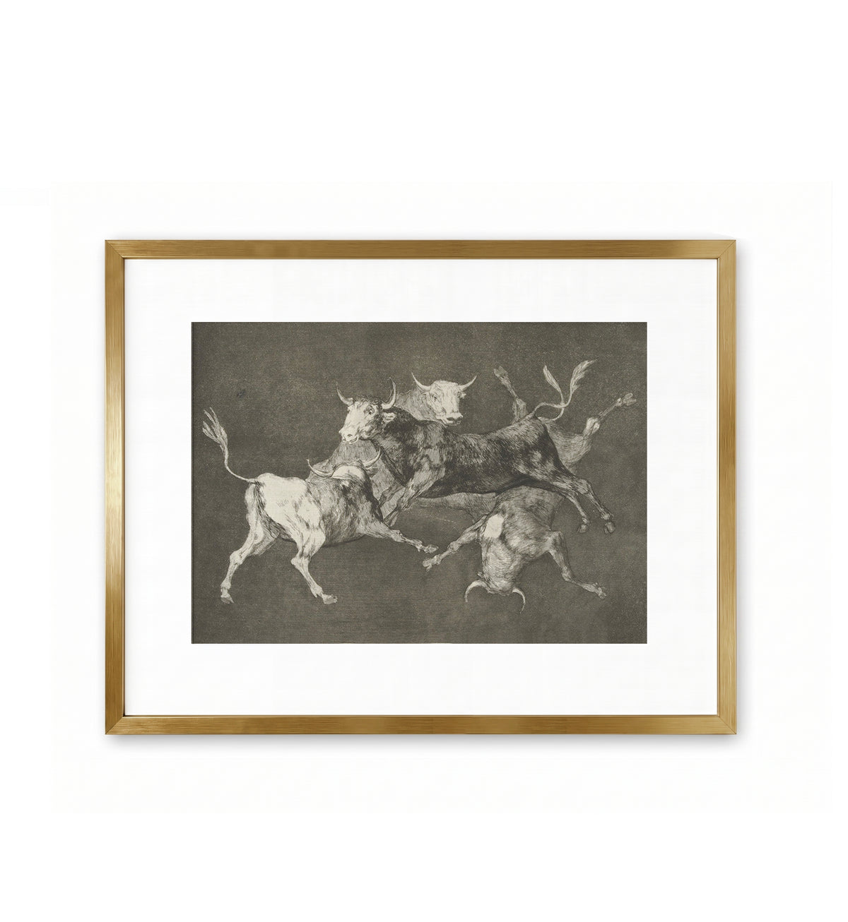 Folly of Little Bulls  / Francisco de Goya