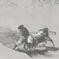Student of Falces / Francisco de Goya