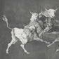 Folly of Little Bulls  / Francisco de Goya
