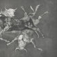 Folly of Little Bulls  / Francisco de Goya