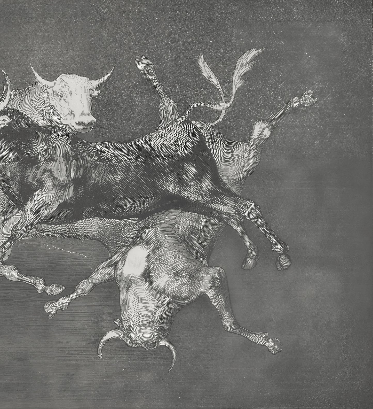 Folly of Little Bulls  / Francisco de Goya