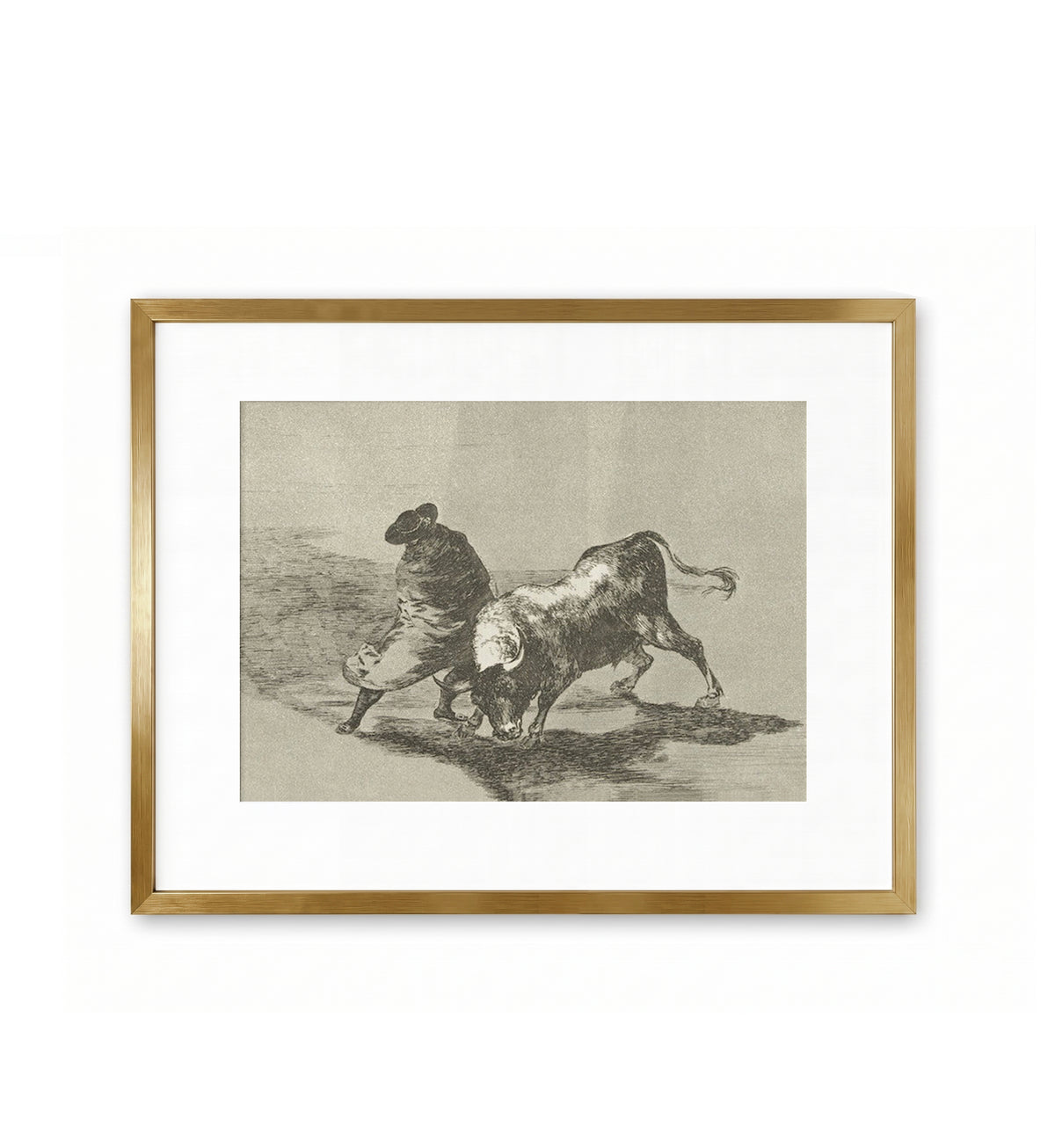 Student of Falces / Francisco de Goya