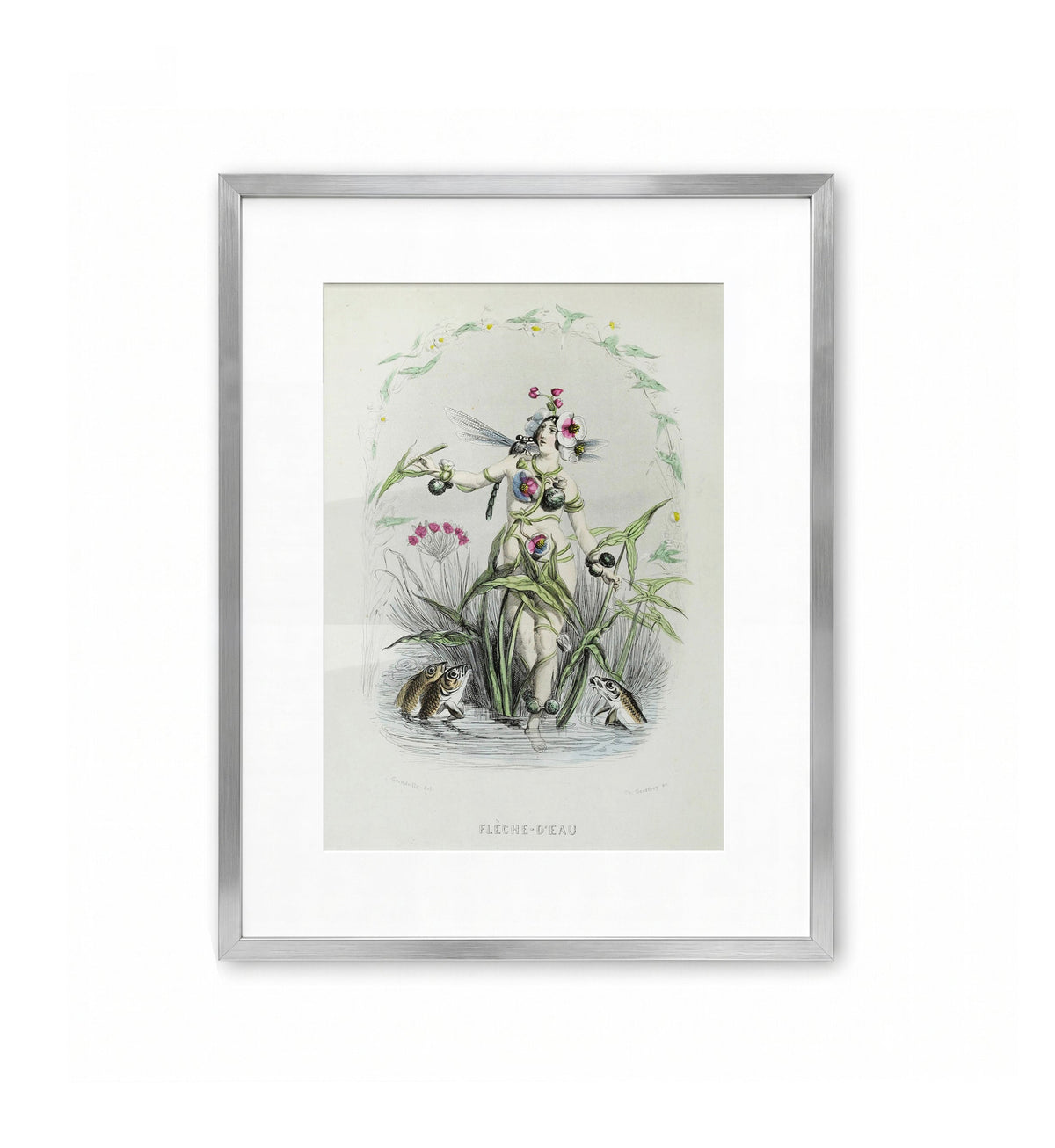 Flèche-d'Eau / J.J. Grandville