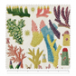 Great Barrier Reef / William Saville-Kent – Tela x metro