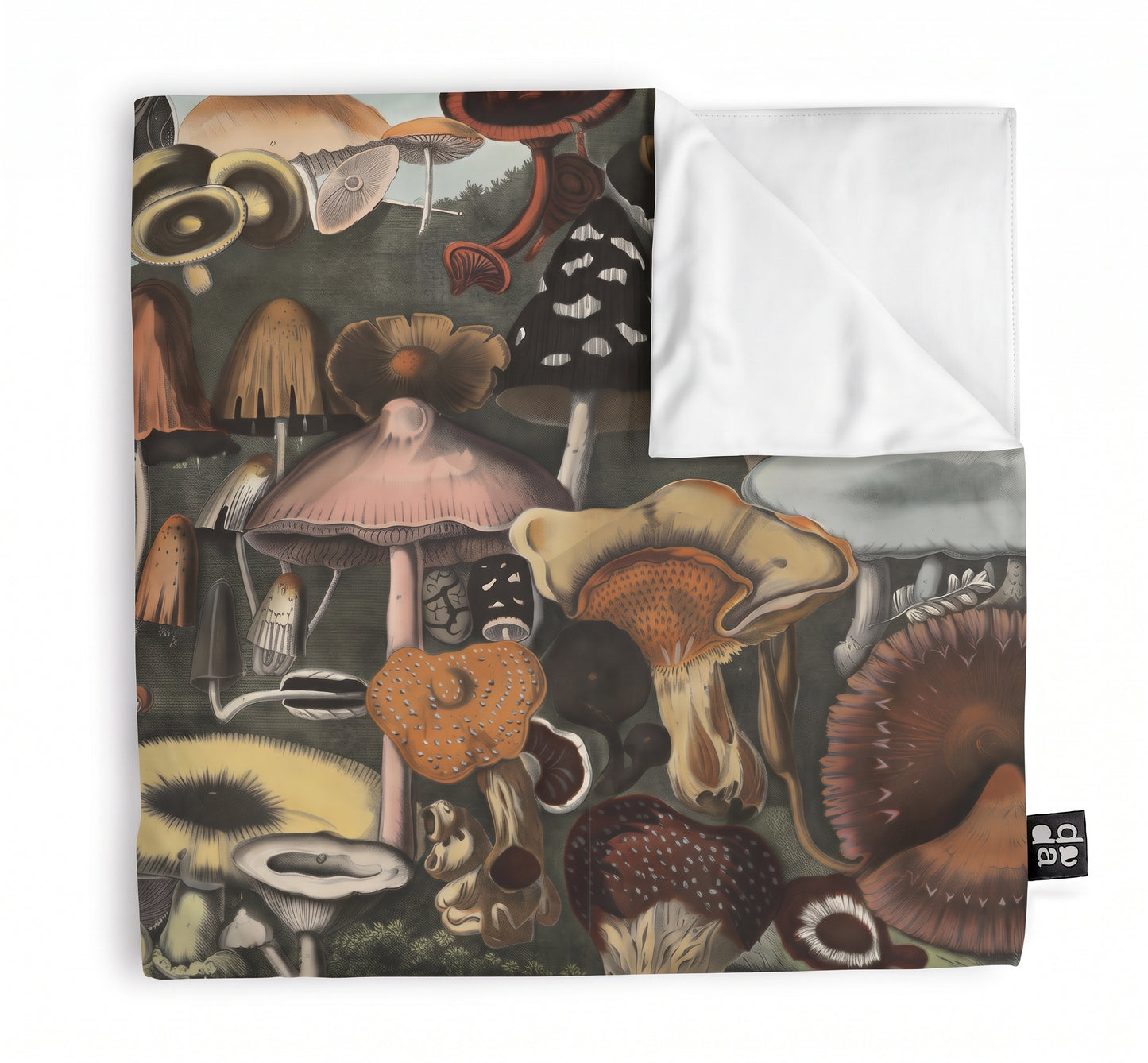 Suspect Mushrooms / A. Cornillon
