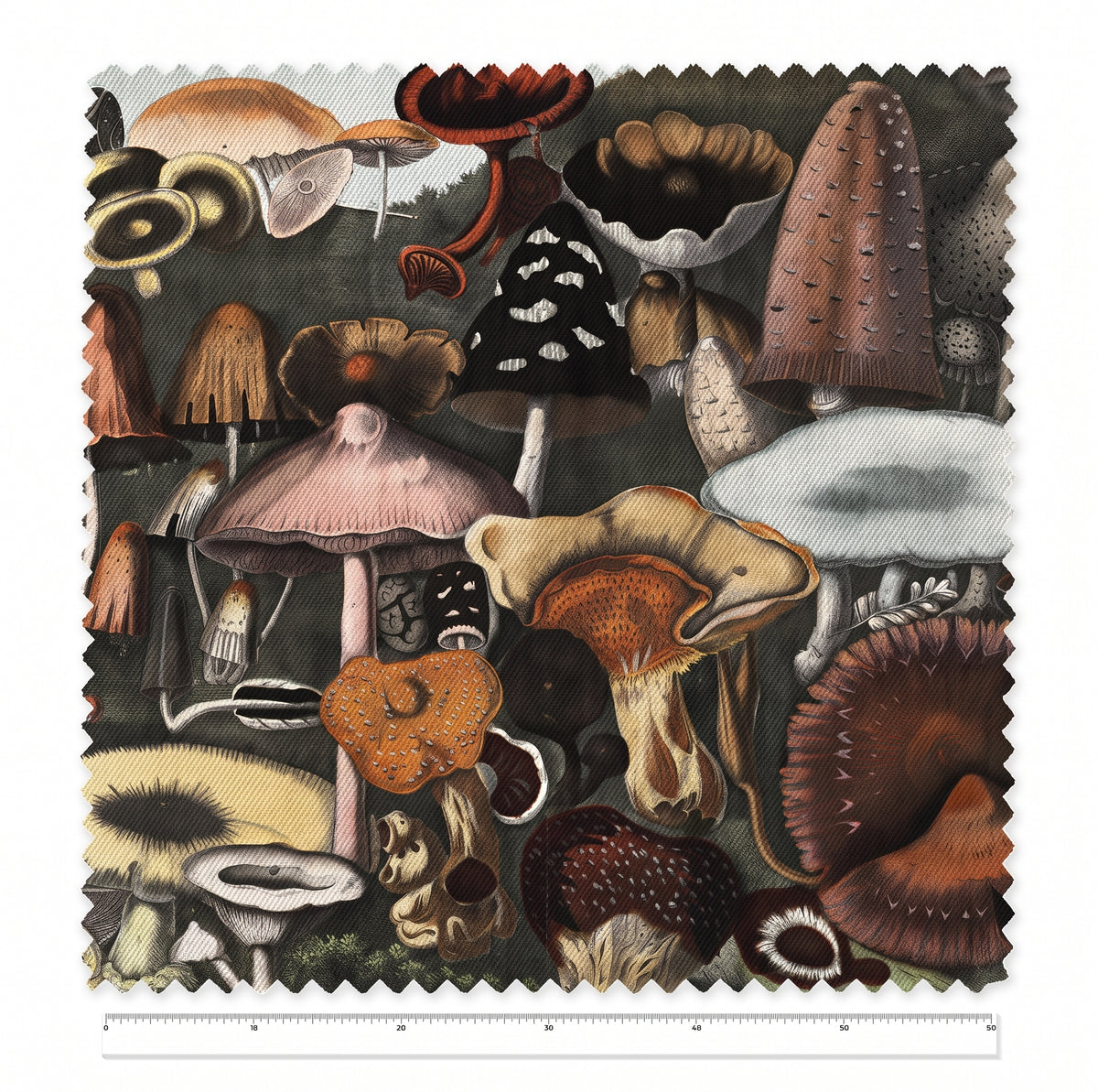 Suspect Mushrooms / A. Cornillon