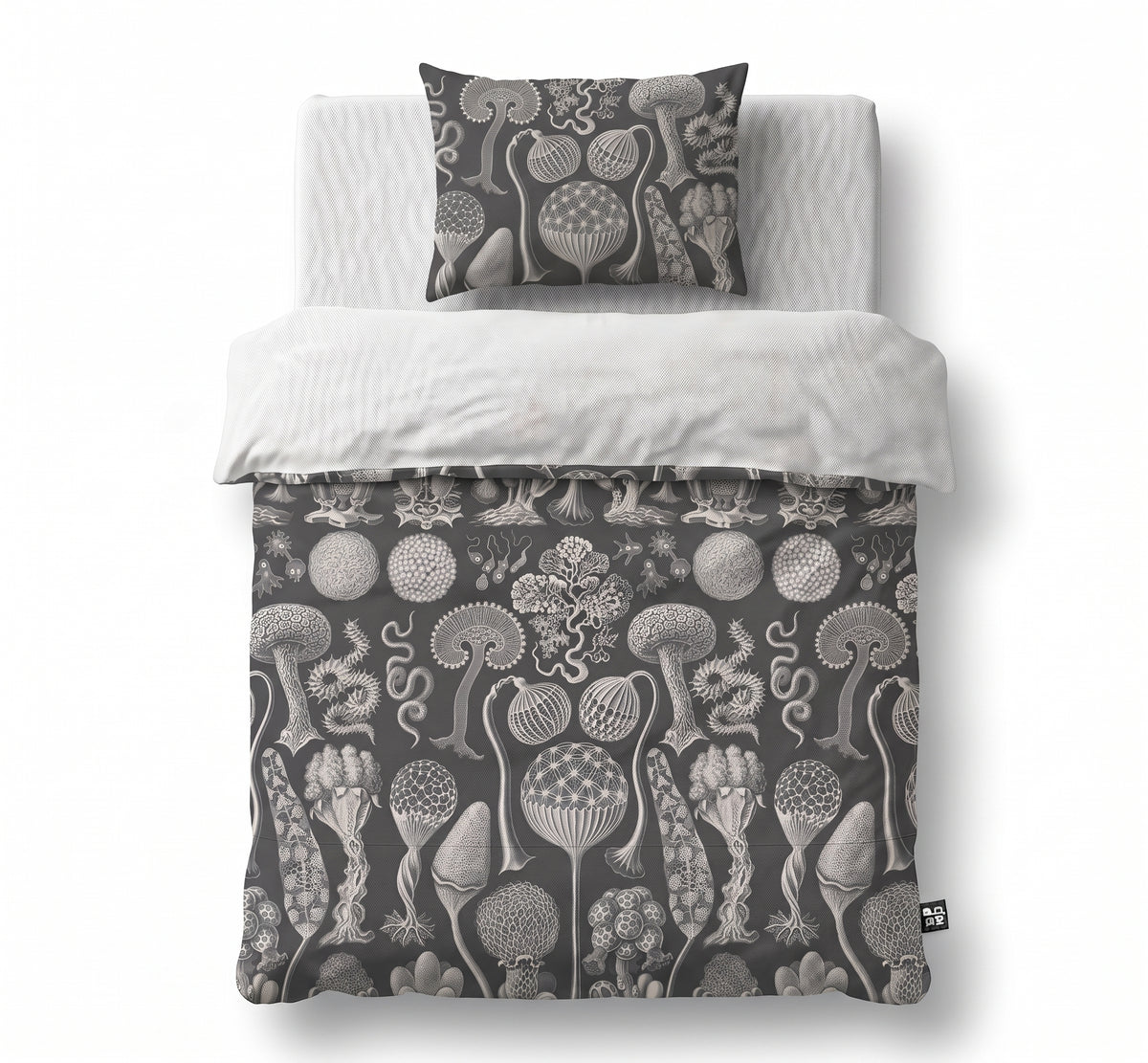 Mycetozoa / Ernst Haeckel