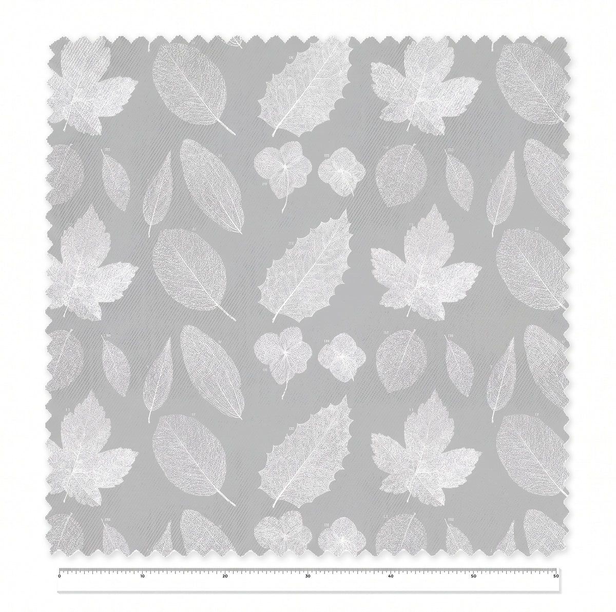 European Sycamore / Anonymous