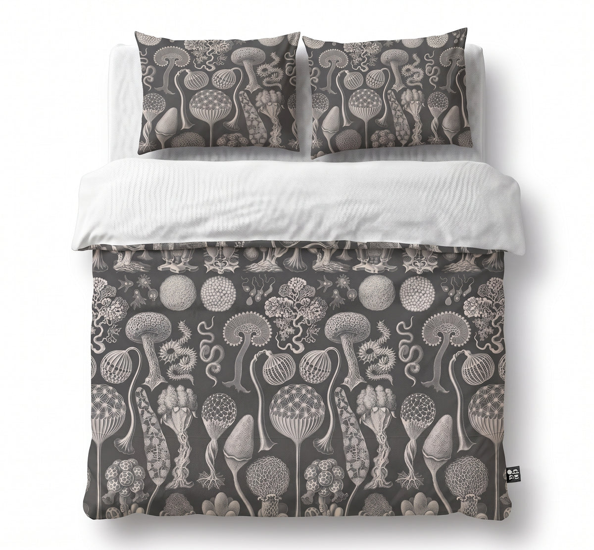 Mycetozoa / Ernst Haeckel